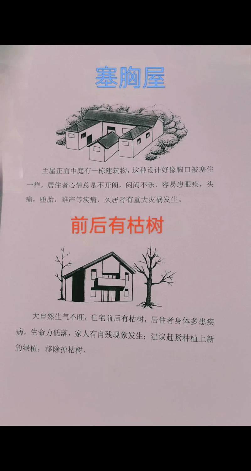 房屋周围有树会对风水产生哪些具体影响？