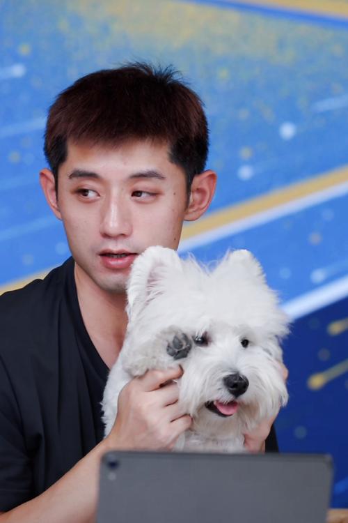 张继科是哪种命格的人，他的命运特点有哪些？