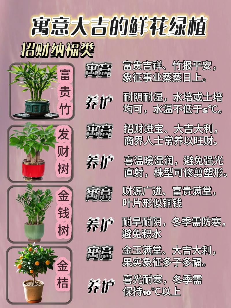 门口摆放花草对风水有影响吗？适合种植花草吗？
