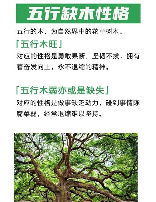 2011年出生的松柏木命男孩，五行中缺少哪一项元素呢？