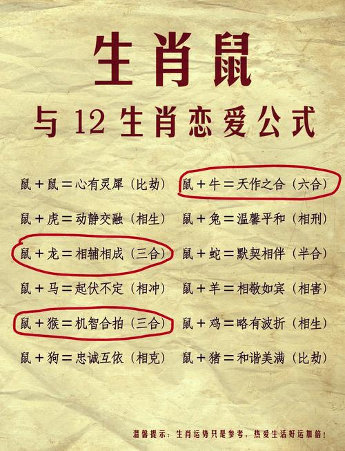 属鼠的人恋爱中有什么禁忌需要注意，容易导致感情破裂吗？
