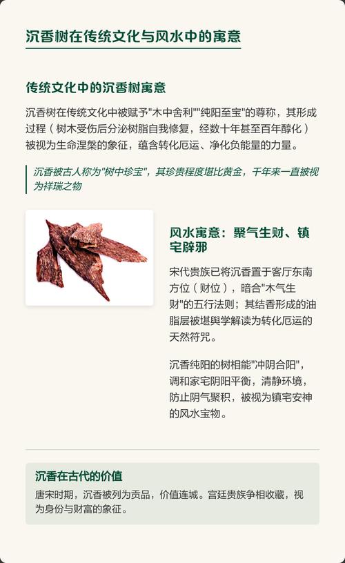 野生沉香树在风水学中是否被认定为具有吉祥风水的树木？