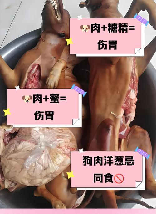 哪些命理的人不宜食用狗肉，同时狗肉与羊肉搭配食用是否相宜？