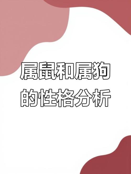 属鼠与属狗的结合会产生怎样的独特魅力呢？