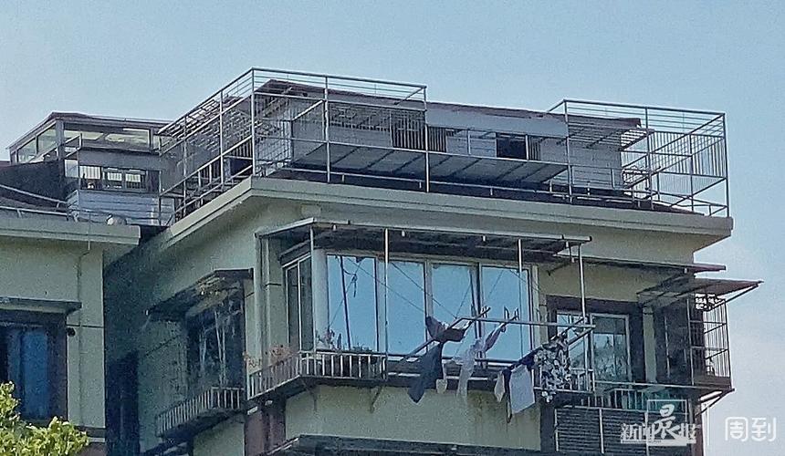 楼顶养鸽子对住宅风水有负面影响吗？