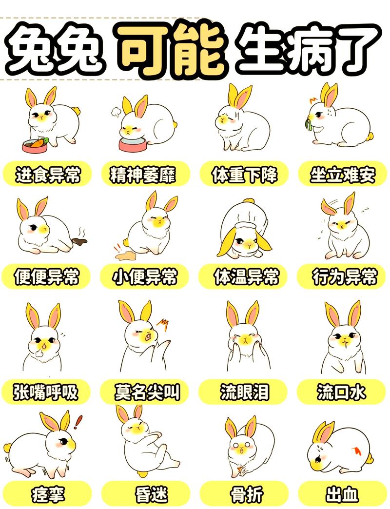 家里兔子丢失是否会对家中的风水产生不良影响呢？