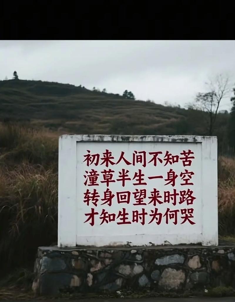 路边出生的命运是否注定是命苦？