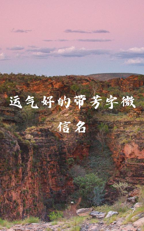 芳字取名寓意女孩，能否体现美好、优雅和高洁的品质？