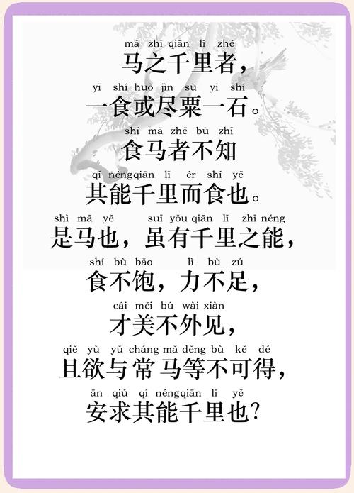 命索军中牝马命字和杨柳木命军中之马是什么意思？