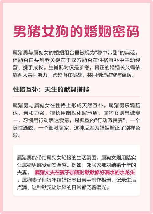 属狗与属猪的婚姻配对是否适宜？有没有什么科学依据或传统说法可依参考？