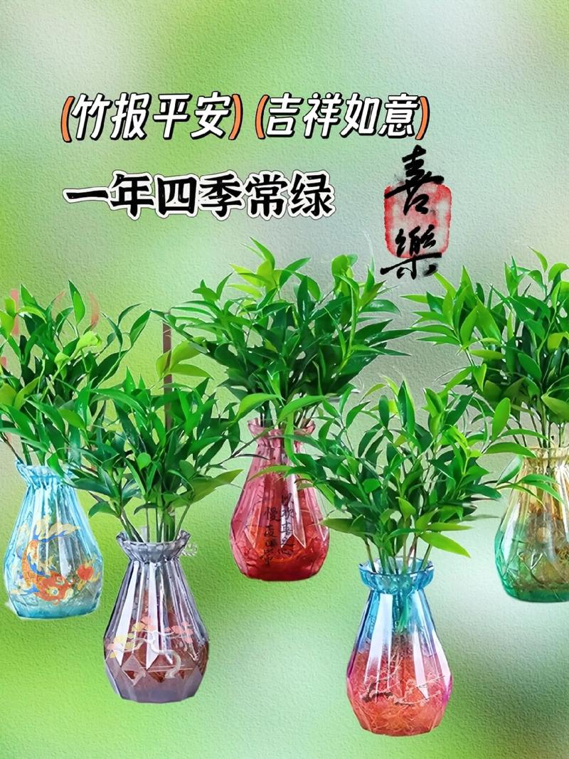 驱蚊竹的风水寓意有哪些，嫩详细介绍一下吗？