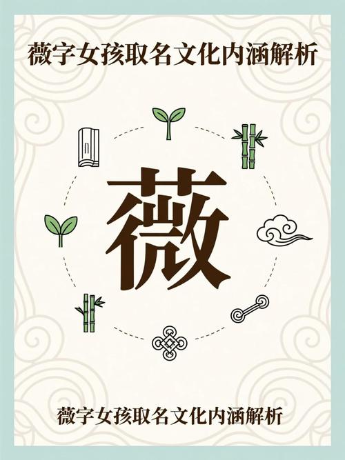 薇字取名寓意女孩，有没有什么美好的寓意可以分享？