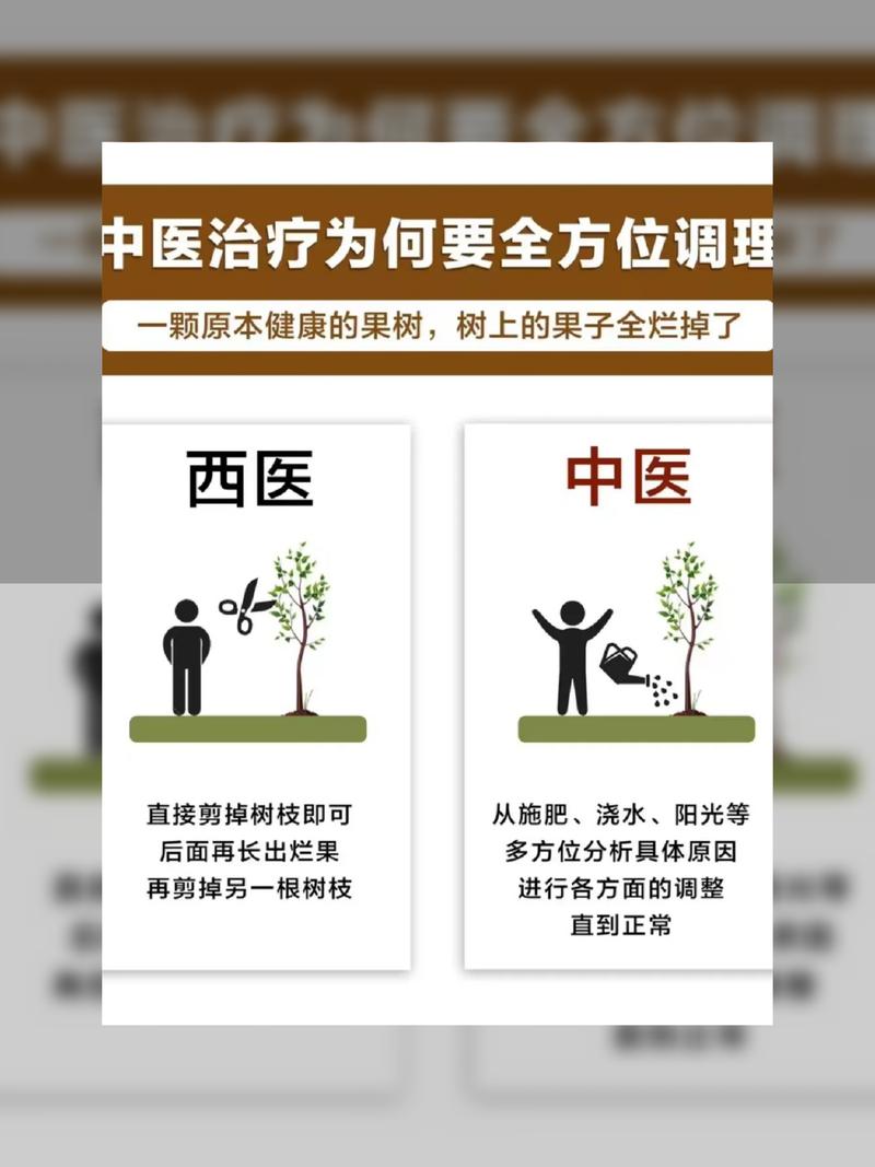 中医与命理学之间究竟有何紧密联系？