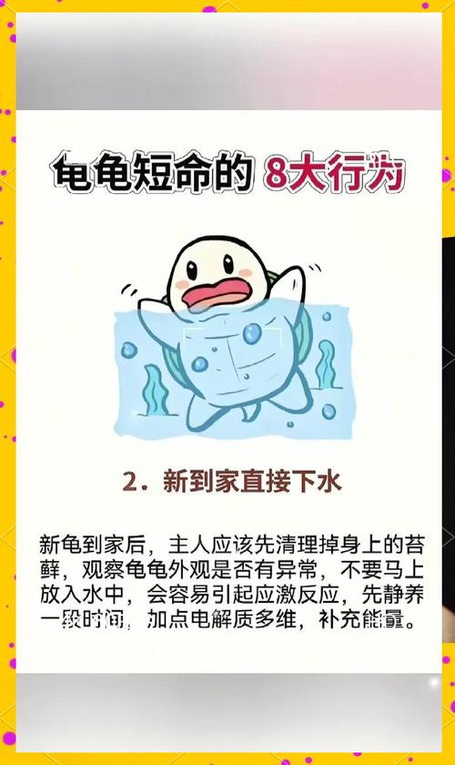 乌龟风水愿意在何时何地放水以趋吉避凶呢？