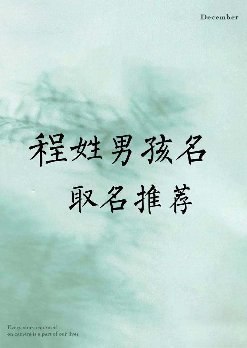 程姓有灵气的小男孩，取个什么名字既文雅又吉祥呢？