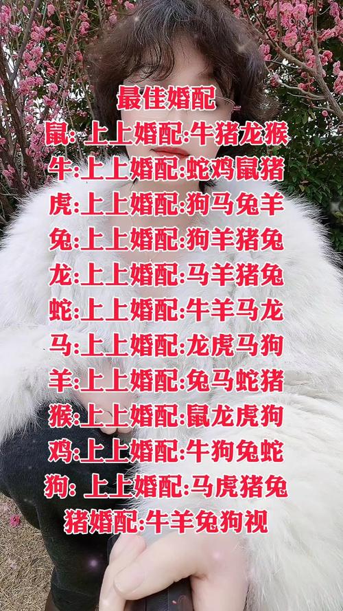 属猪与属鼠的婚配是否适宜？