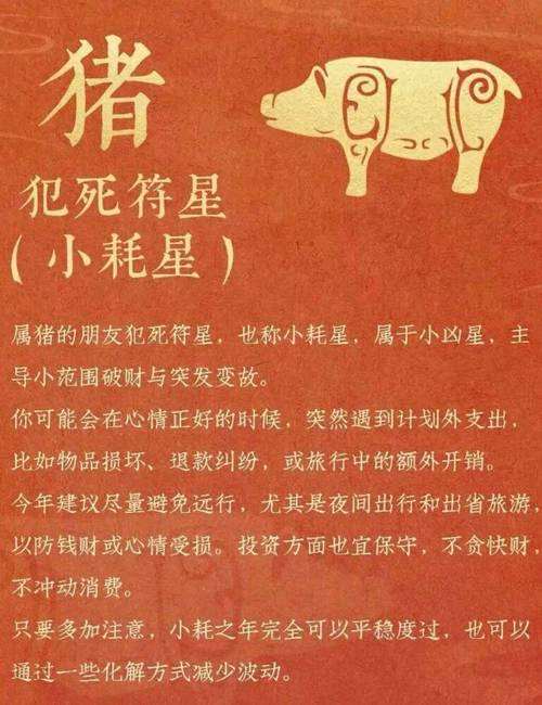 属猪女命格财运如何分析？