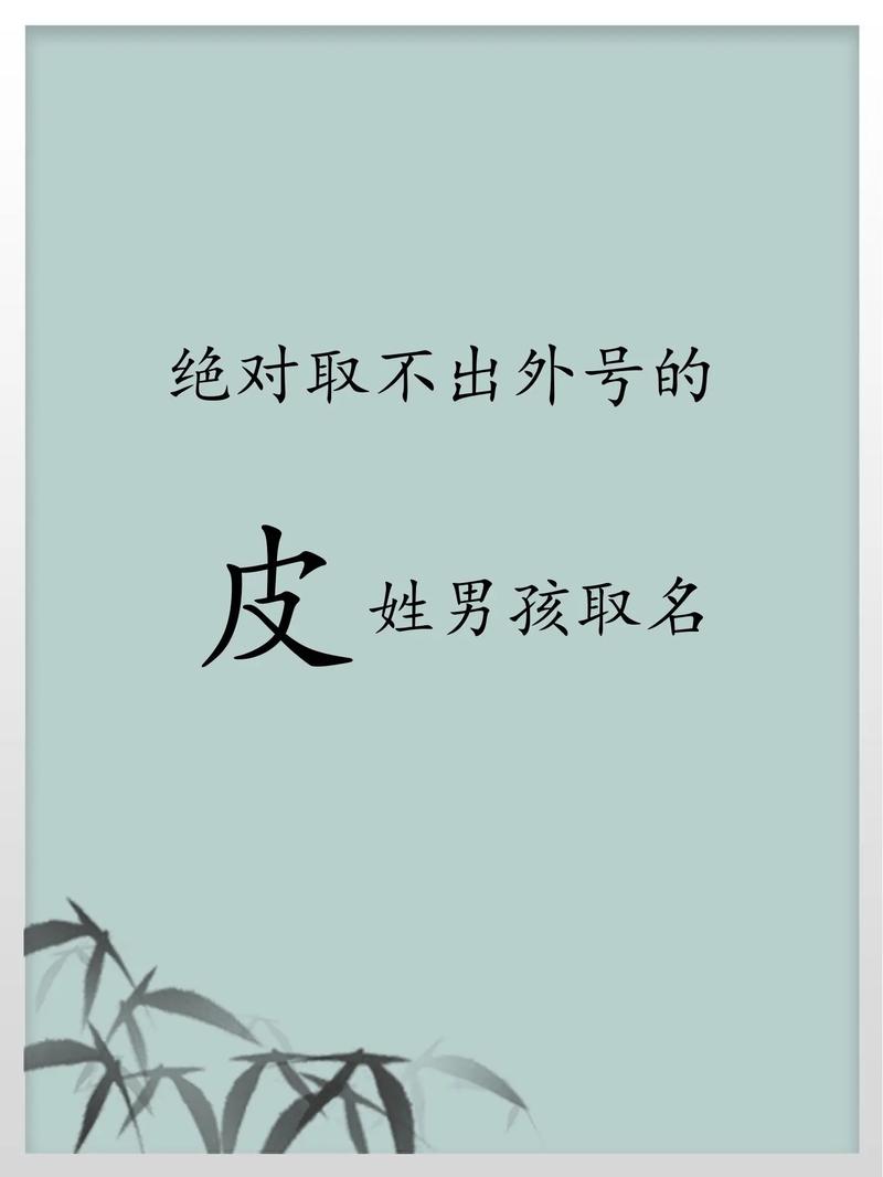 皮姓男孩起一个既优美又大方的名字，有没有什么好的建议呢？