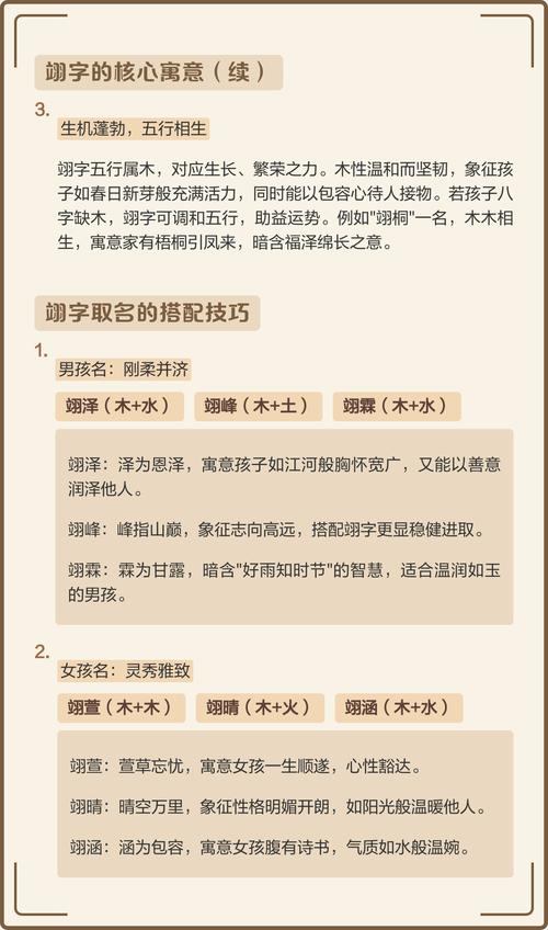 翊字取名对男孩有什么美好的寓意和象征意义？