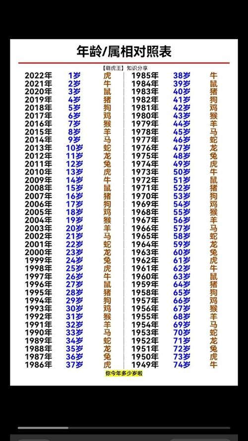 虎夜行出生的男孩命运如何？他们的性格和命运是否忒别？