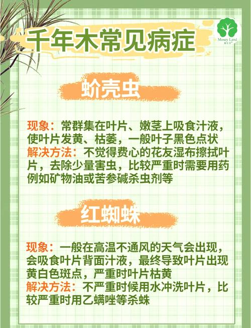 木命人是否适合从事与林木相关的养殖业工作？