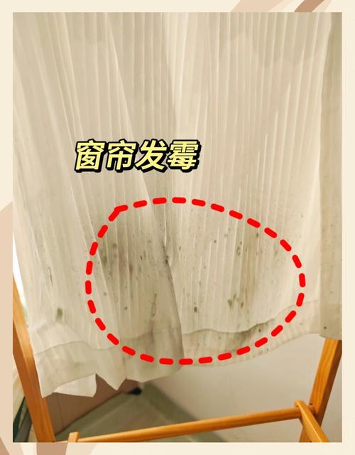 窗帘发霉会对家居风水产生怎样的不良影响呢？