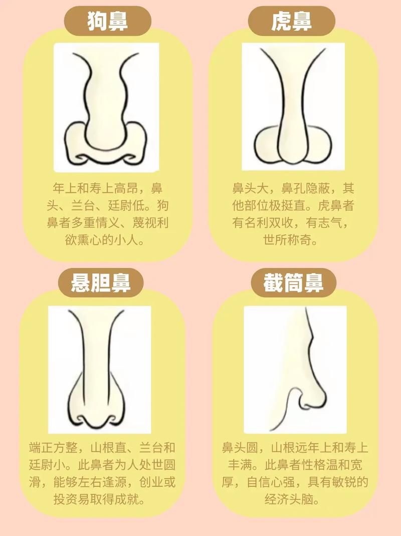 鼻子上方特征预示命运，平鼻之人命运如何？