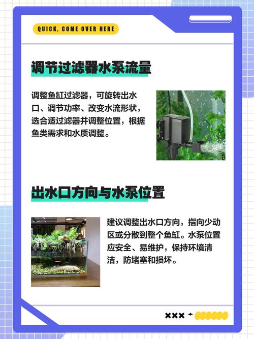 风水石养鱼时鱼缸内会不会音位水流循环导致氧气不足？