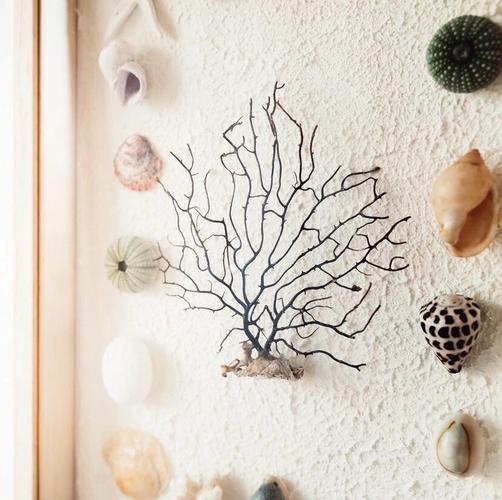 房间摆放贝壳会对风水产生怎样的影响呢？