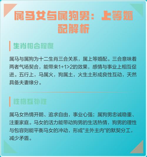 属马和属狗的夫妻配对是否合适？
