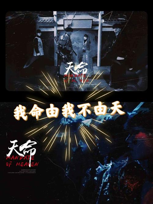 命不由天，那无天无地的命究竟会是怎样的命运呢？