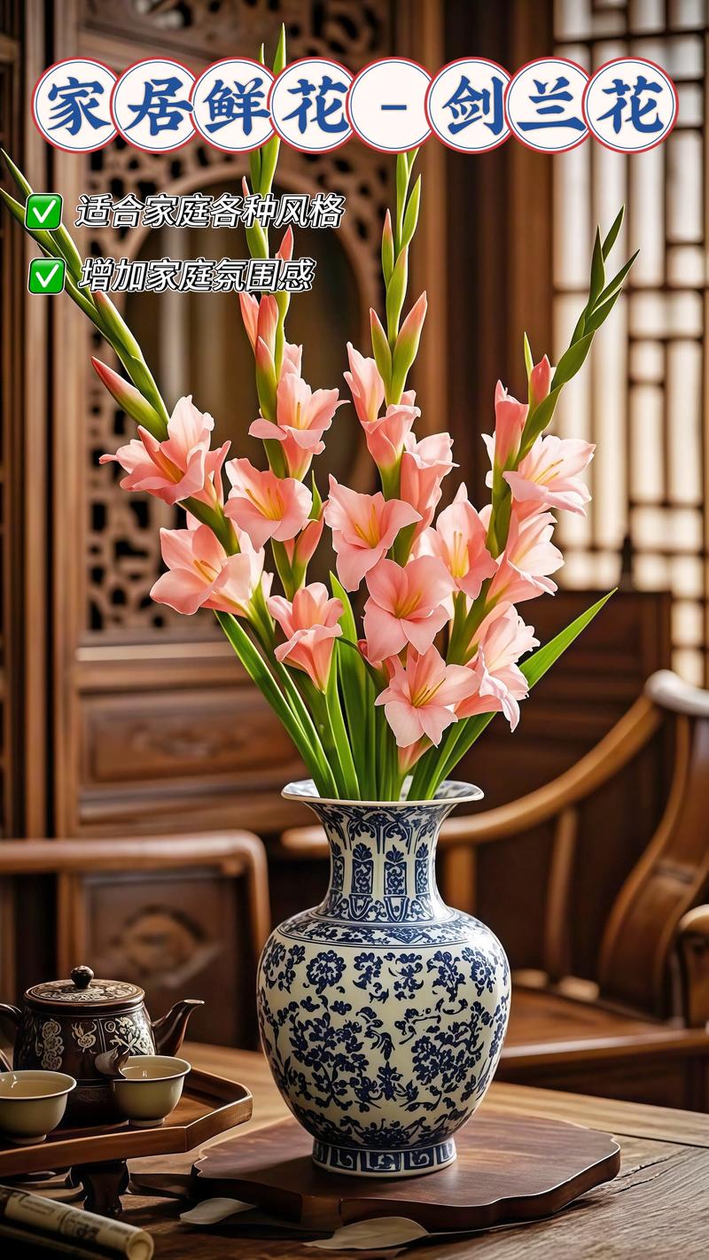 剑兰摆放风水上有哪些讲究和注意事项？