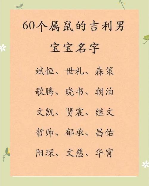 姓和的男孩取个吉利名字有什么好建议？