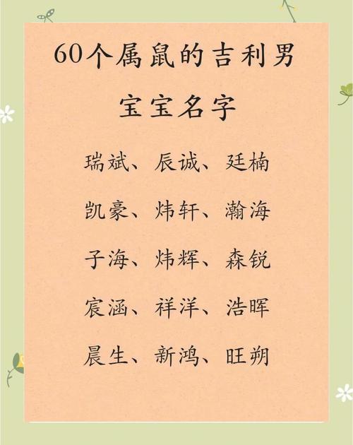 姓和的男孩取个吉利名字有什么好建议？