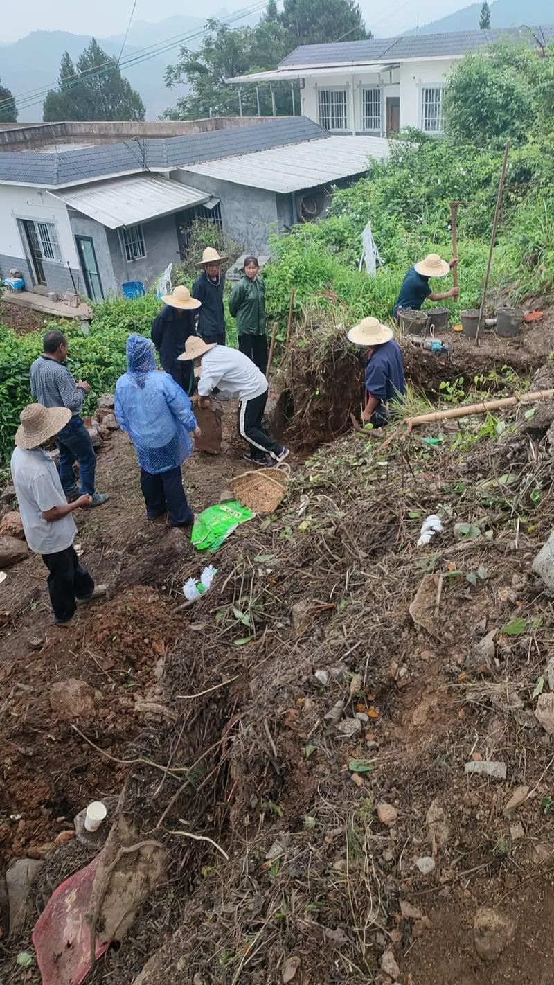 2026年5月2日修坟，这个日子适合进行坟墓修缮吗？