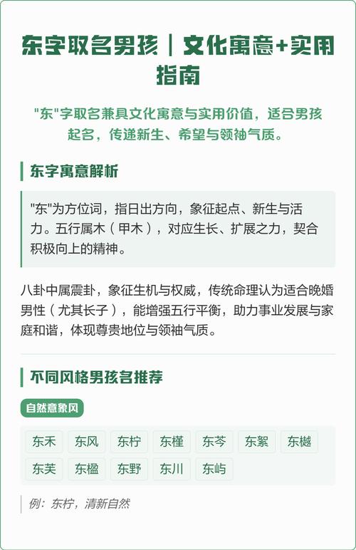 东字男孩名字的寓意和含义是什么？