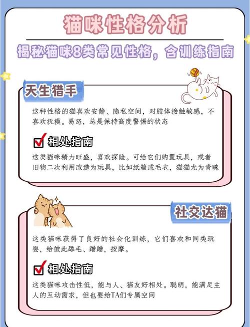 猫命理中属什么命格的人特点如何，如何同过命格命运？