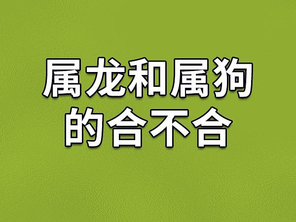 属狗与属龙若强行结合，会产生怎样的奇妙化学反应呢？
