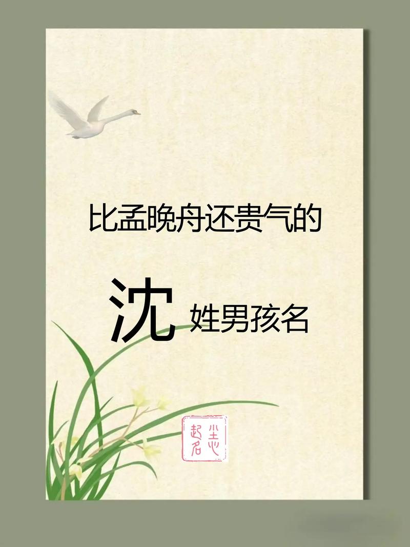 有没有什么冷门独特的男宝宝名字，像沈姓那样既冷门又独特呢？