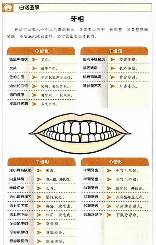 人的牙齿与风水之间是否存在某种联系？
