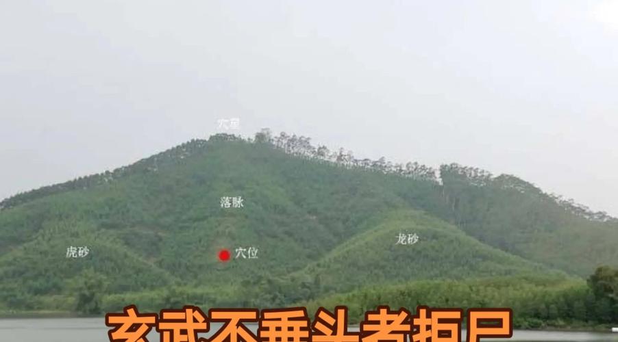 风水布局中，玄武位有哪些具体要求或注意事项？