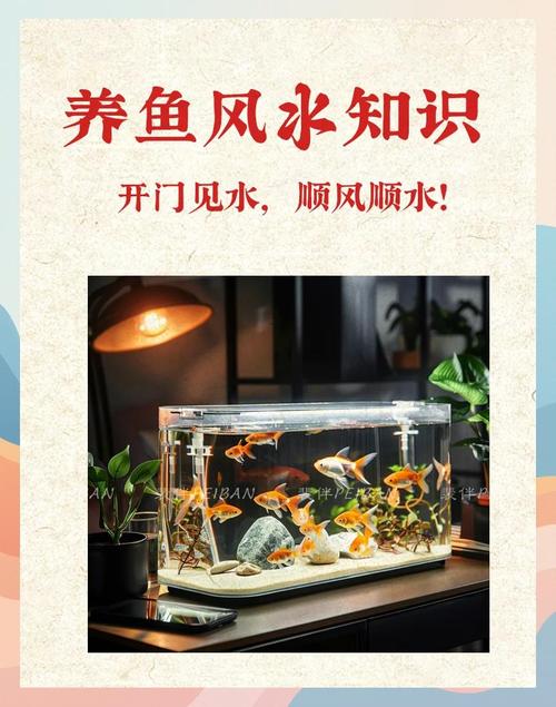 养鱼在风水上有哪些讲究和注意事项？