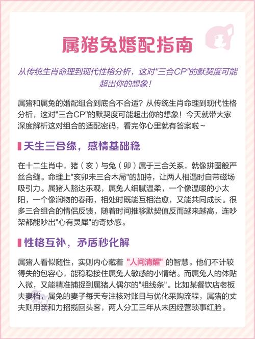 属兔和属猪的相配吗？这真的是传说中的最佳组合吗？