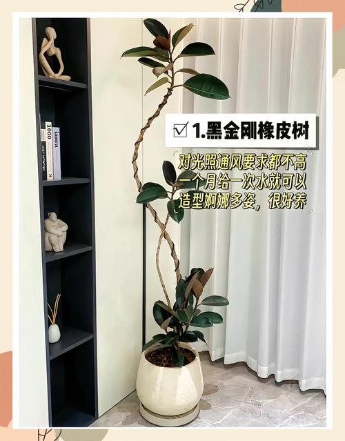 水命家庭适合养哪些植物？买房时应选择几楼梗合适？