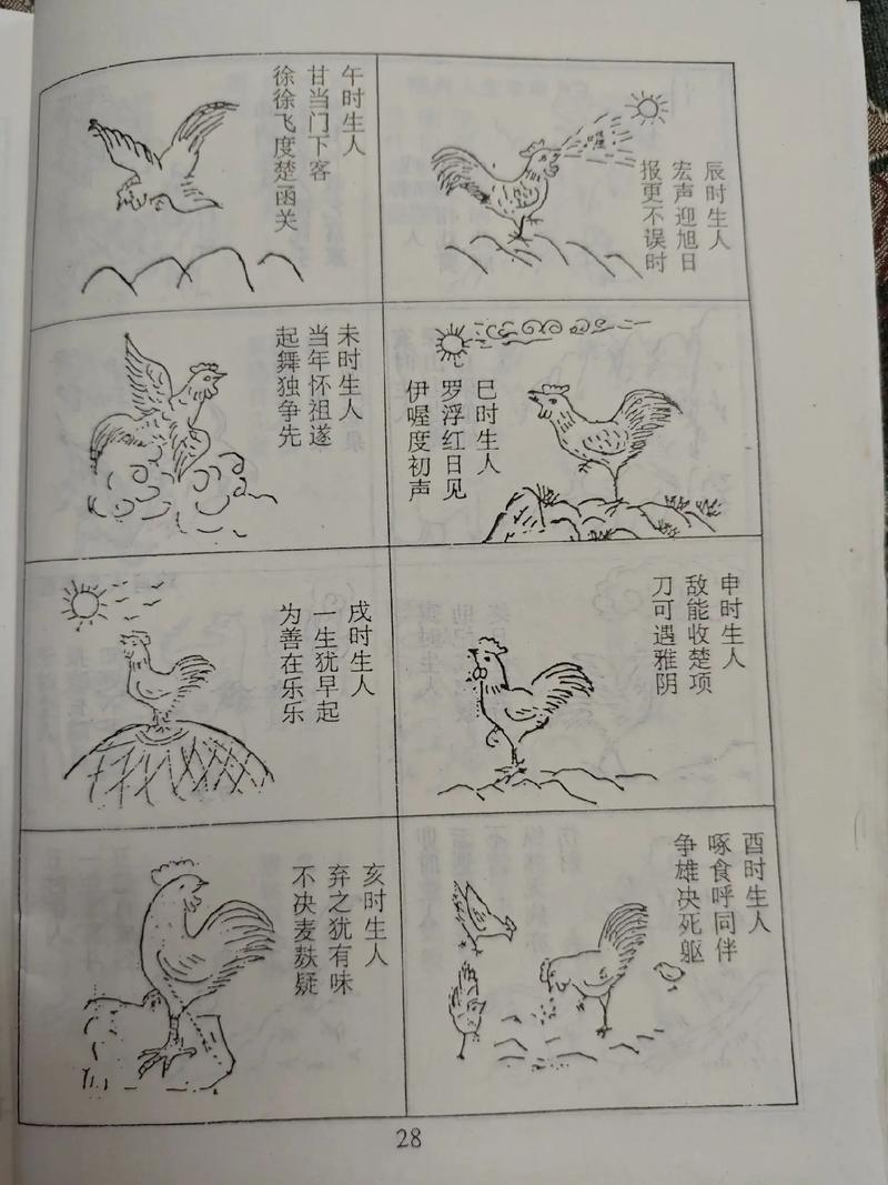 属鸡人出生在辰时命运如何，这个时辰的命理是否吉利？