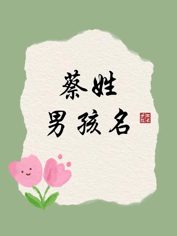 蔡姓男宝宝名字中，有没有一个既冷门又独特的名字，能让人眼前一亮呢？