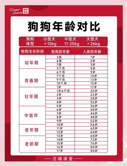 今年狗年属什么命？狗年具体是哪一年开始？