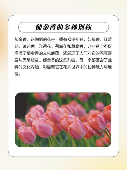女孩用郁字取名，寓意着郁金香般的高雅与坚韧，那么这样的名字有什么美好寓意呢？