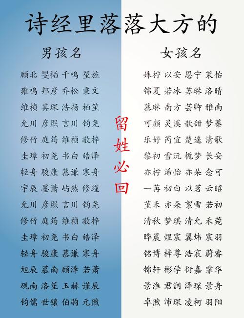 语字取名寓意女孩，有哪些美好的象征和含义？