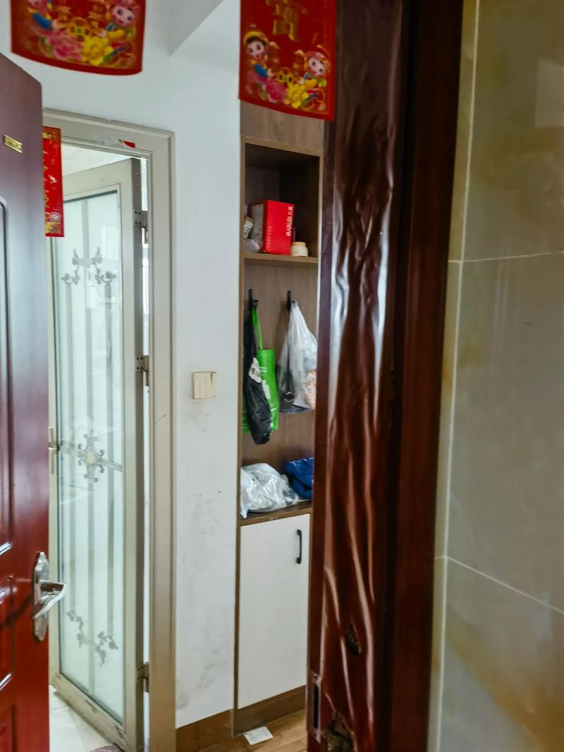 门内有白蚁对家居风水有何具体影响？